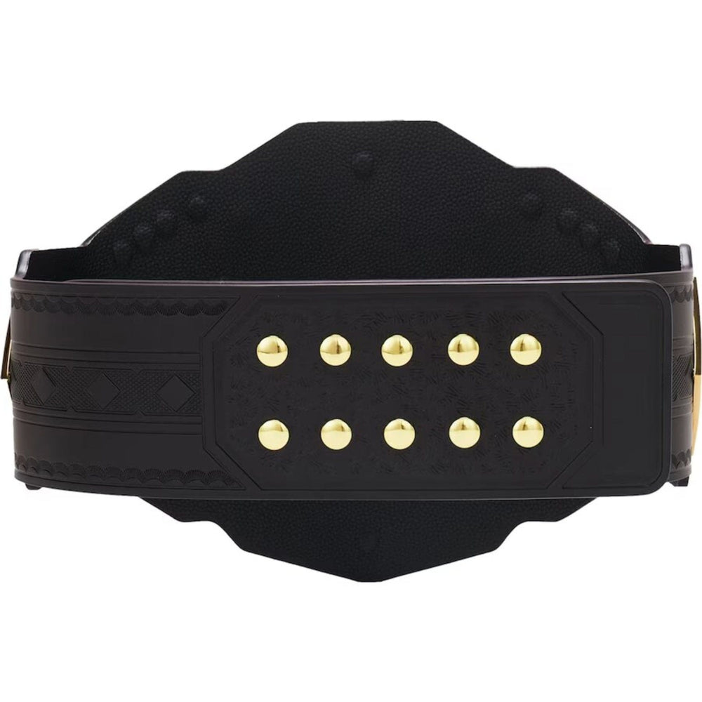 NXT Championship Replica Belt – Gold and White Design – Product Photo 5