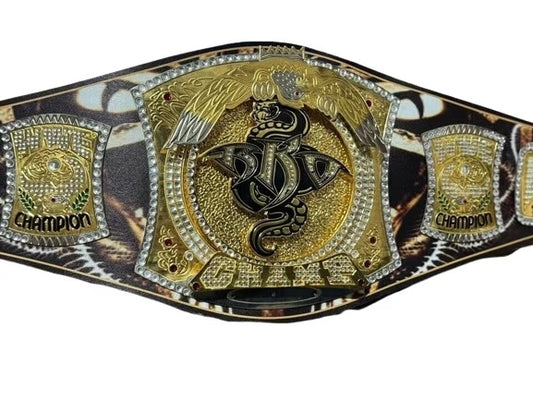 Randy Orton NXT Spinner Championship Replica Belt – Product Photo 2