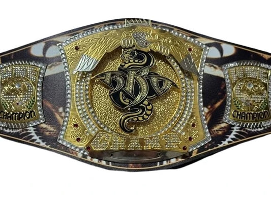 Randy Orton NXT Spinner Championship Replica Belt – Product Photo 1