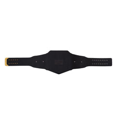 Undisputed World Heavyweight Wrestling Championship Belt | ChampHubs