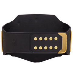 Undisputed World Heavyweight Wrestling Championship Belt | ChampHubs